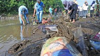 Ratusan relawan dari komunitas peduli sampah dan instansi di Jember membersihkan sampah plastik di Sungai Bedadung, mengangkut sampah dari tempat pembuangan sampah liar di tepi jalan, dan menanam pohon sebagai upaya menjaga lingkungan dan mengurangi sampah. ANTARA FOTO/Seno.