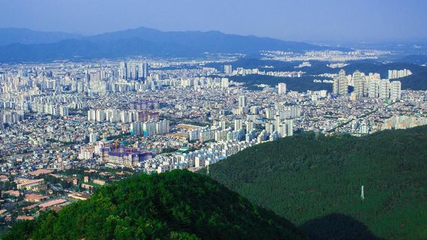 7 Wisata di Daegu, dari Pasar Tekstil sampai Pasar Obat