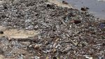 Miris! Tumpukan Sampah Cemari Pantai Kedonganan Bali
