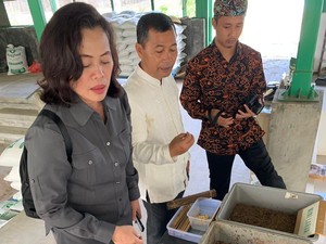 Harga Pakan Ikan Tinggi, KKP Masif Produksi Pakan Alternatif Magot