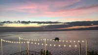 Kafe ini dikelilingi 10,000 bunga mawar putih yang Instagrammable. Bunga mawar putihnya memang tidak asli, tapi terdapat lampu di dalamnya. Foto: Instagram/Ist