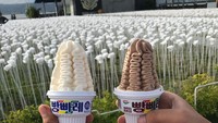 Tak hanya menyajikan kopi saja tapi kafe ini juga punya menu es krim andalan yang bisa dinikmati di tengah-tengah barisan mawar putih. Foto: Instagram/Ist