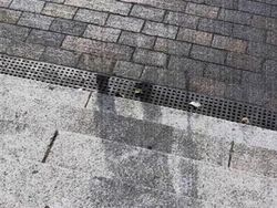 Foto Bersejarah yang Belum Pernah Kamu Lihat Pas Zaman Sekolah