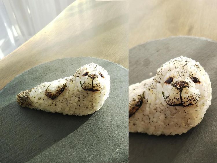 Onigiri Unik Bentuk Kucing hingga Alien Buatan YouTuber Jepang
