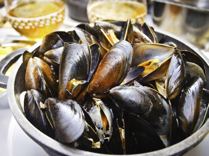 Kerang Matang Cuaca Panas
