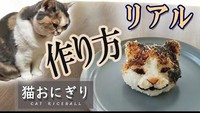 Nggak percaya kalau onigiri kucing mirip asli? Lihat saja foto ini, dijamin kucing akan ikut bingung melihatnya. Foto: Onigiri Gekijou