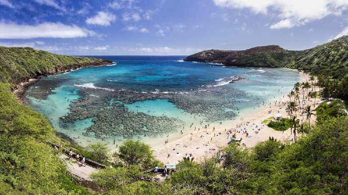 Snorkeling at the coral reef of Hanauma Bay, a former volcanic crater, now a national reserve