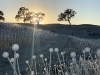 Mobile Photography Awards