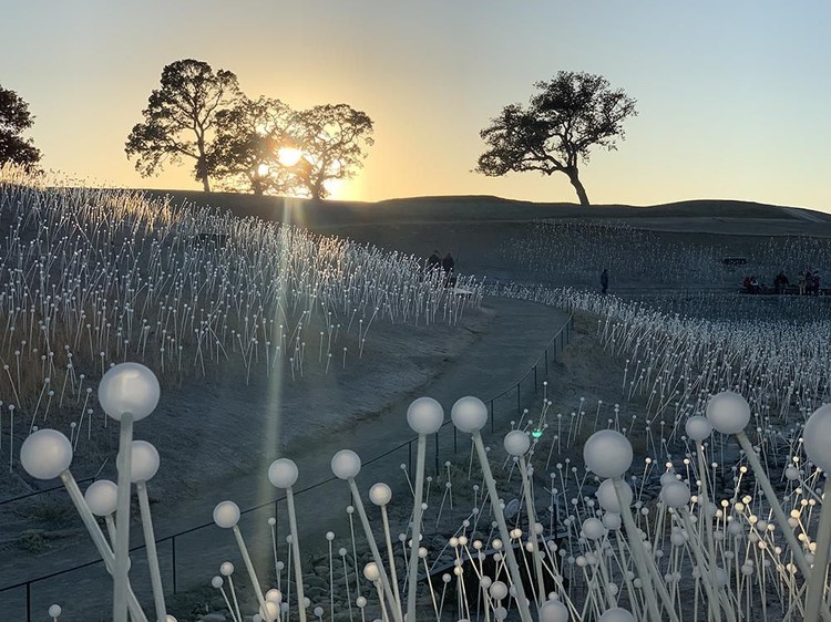 Mobile Photography Awards