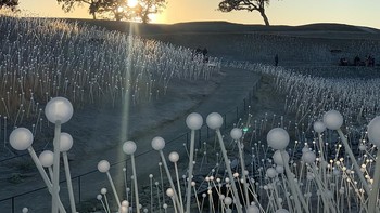 Jawara kategori Landscape  dimenangi oleh Sharon Barezer. Dipotret menggunakan iPhone XS. Foto: Mobile Photography Awards