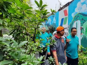 Melihat Kampung Hijau di Cempaka Putih Kurangi Sampah Plastik