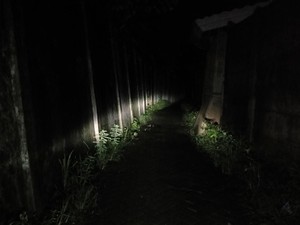 Horor, Penampakan di Gang Begal Payudara Mahasiswi UIN Makassar Malam Hari