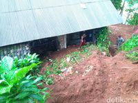 Hujan Angin Landa Ciamis, Pohon Tumbang Timpa Rumah dan Longsor