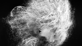 Jawara kategori People  dimenangi oleh  Michelle Simmons. Dipotret menggunakan iPhone XS. Foto: Mobile Photography Awards