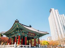 Rahasia Daegu Menarik Dikunjungi di Mata Wisatawan