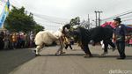 Intip Kemeriahan Karnaval Budaya di Kota Banjar