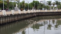 Foto: Nurdin Abdullah sebelumnya menyorot banyaknya sampah di pinggiran Pantai Losari melalui akun Instagram pribadinya. Dia mengaku prihatin akan banyaknya sampah berserakan di Pantai Losari. (Hermawan Mappiwali/detikcom)