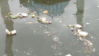 Foto: Selain itu, sampah berserakan ini sudah mulai mengeluarkan bau tak sedap. (Hermawan Mappiwali/detikcom)