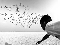 Mobile Photography Awards