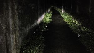 Potret Horor Gang Saksi Bisu Begal Payudara Mahasiswi UIN Makassar
