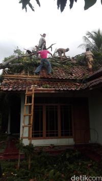 Hujan Angin Landa Ciamis, Pohon Tumbang Timpa Rumah dan Longsor