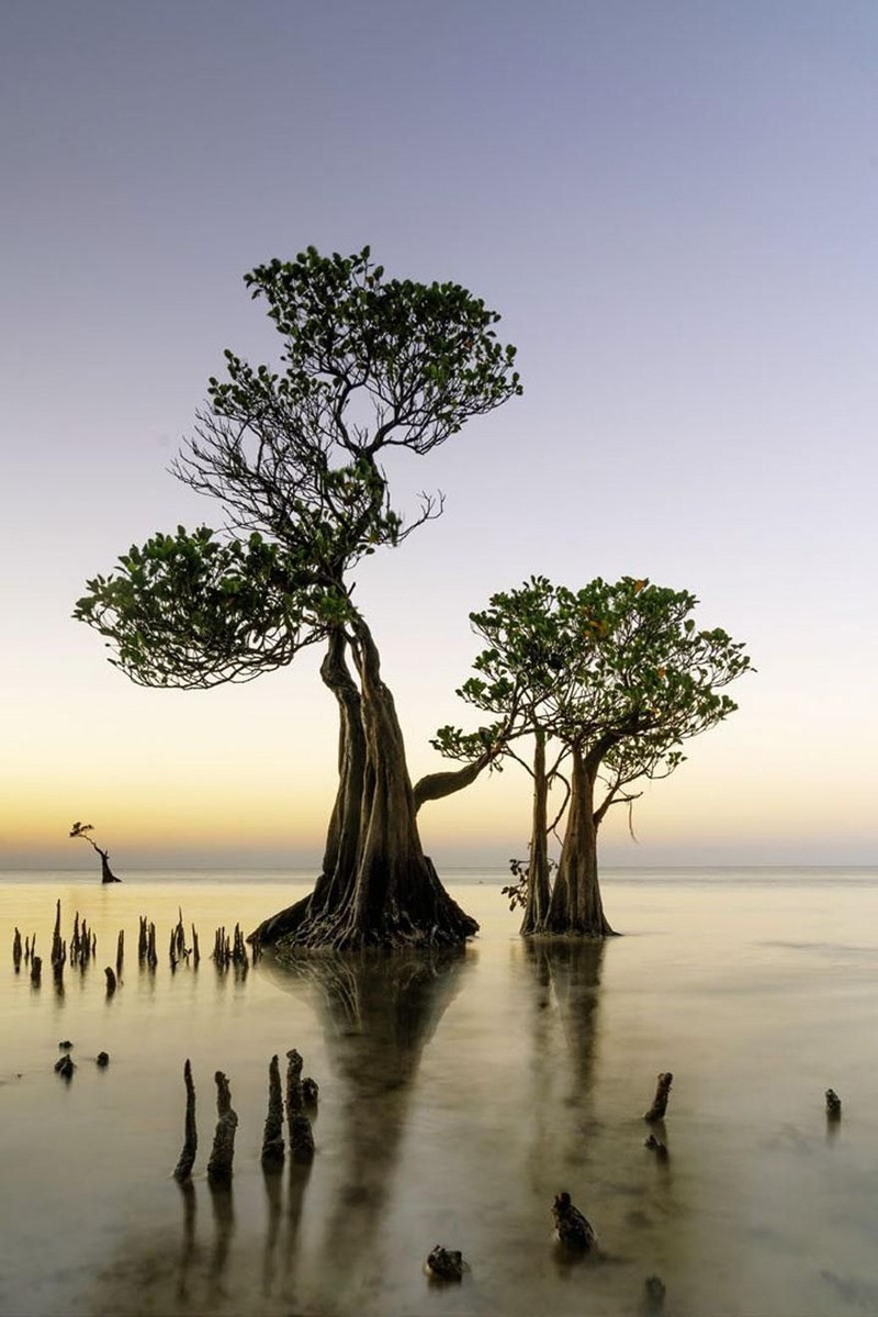 karya jawara International Landscape Photographer of the Year