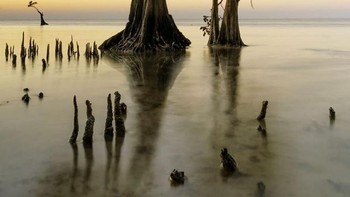 Pemandangan Pantai Walakiri di Sumba yang menjadi objek foto Sarah Wouters, finalis terpilih lainnya. Foto: Sarah Wouters/International Landscape Photographer of the Year