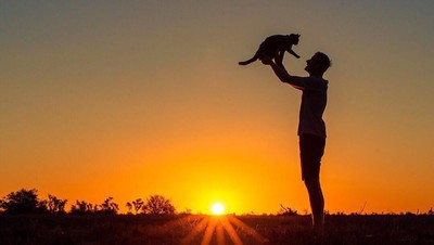 Pria Berhenti Kerja dan Pilih Traveling Bareng Kucing
