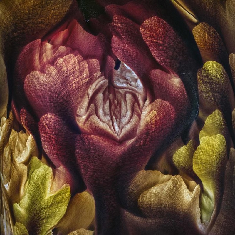 karya jawara International Landscape Photographer of the Year