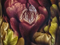 Keindahan Bumi dalam Jepretan Jawara Kontes Landscape Photography