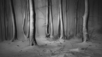 Veselin Atanasov dari Bulgaria memenangkan kategori Snow and Ice Award. Karyanya menampilkan hutan bersalju di kawasan Balkan Tengah, Bulgaria. Foto: Veselin Atanasov/International Landscape Photographer of the Year