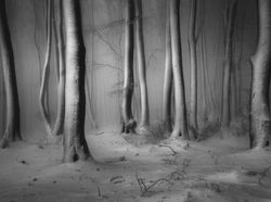 Keindahan Bumi dalam Jepretan Jawara Kontes Landscape Photography