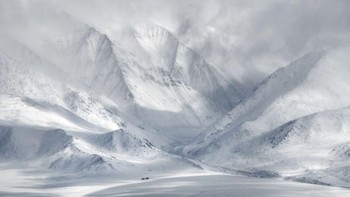 Ricardo da Cunha dari Australia memenangkan kategori The Wildlife in Landscape. Foto di atas menampilkan alam liar di pegunungan bersalju di Mongolia. Foto: Ricardo da Cunha/International Landscape Photographer of the Year