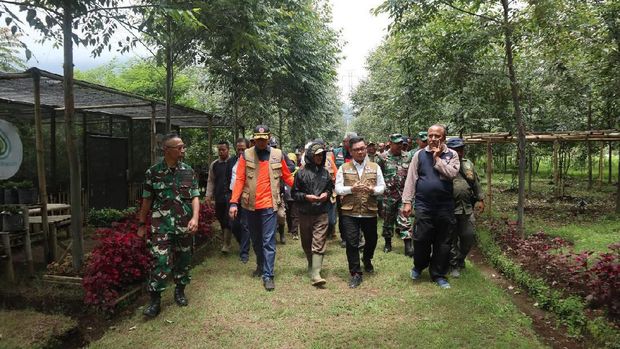 Doni, Ace dan rombongan.