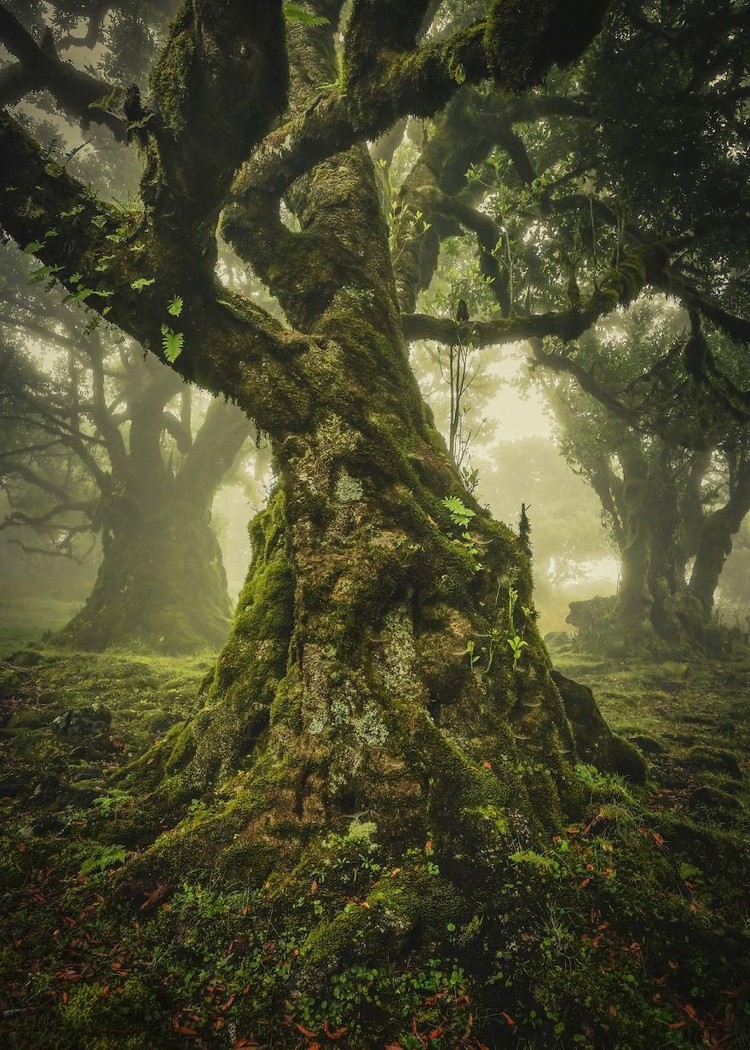 International Landscape Photographer of the Year karya jawara International Landscape Photographer of the Year
