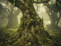 Keindahan Bumi dalam Jepretan Jawara Kontes Landscape Photography