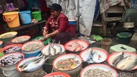 Cumi segar, ikan kakap, ikan bandeng dan segala jenis udang ada di sini. kalau malas membersihkan minta tulang ikan menyiangi dan memotongnya. Foto: detikcom