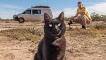Pria Berhenti Kerja dan Pilih Traveling Bareng Kucing