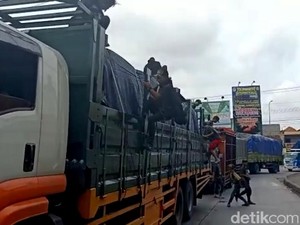 Polisi Pekalongan Razia 70 Anjal yang Sering Adang Truk di Pantura