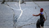 Ikan yang dicari oleh mereka itu berasal dari sungai atau empang warga yang terbawa banjir ke area persawahan tersebut.