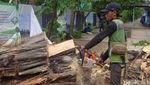 Penampakan Pohon Beringin yang Tumbang di Depan Monas