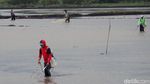 Menjala Ikan di Tengah Sawah yang Kebanjiran