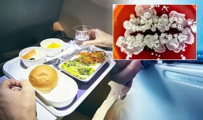 baki makanan di pesawat