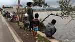Menjala Ikan di Tengah Sawah yang Kebanjiran