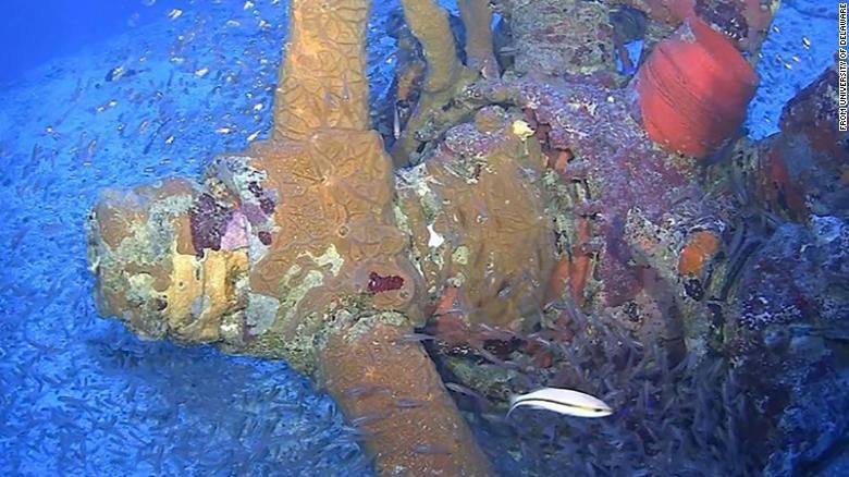 76 Tahun Hilang, Pesawat Perang Dunia II Ditemukan di Samudra Pasifik 76 Tahun Hilang, Pesawat Perang Dunia II Ditemukan di Samudra Pasifik