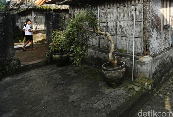 Kebersihan di Desa Penglipuran dapat terjadi karena warga di sana melakukan pengelolaan sampah dengan pemisahan sampah. Kebersihan di Desa Penglipuran dapat terjadi karena warga di sana melakukan pengelolaan sampah dengan pemisahan sampah.