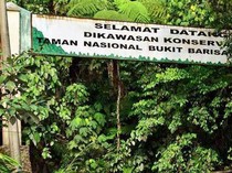 Mengenal Flora dan Fauna yang Ada di Taman Nasional Bukit Barisan Selatan