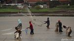 Menjala Ikan di Tengah Sawah yang Kebanjiran