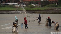 Ada berbagai jenis ikan yang diburu oleh para penjala, mulai dari ikan mas, ikan nila, lele hingga ikan gabus.
