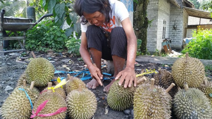Penyandang Difabel Jualan Durian Dibayar Uang Palsu